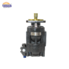 4545782, 2021000001 Hm 2021 2017D Hydraulic Gear Pump